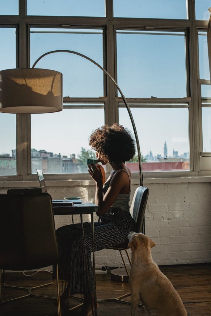 anonymous black female freelancer using laptop near dog